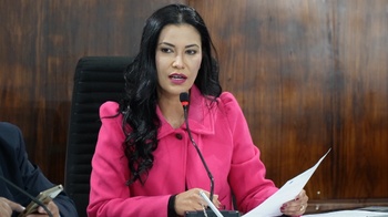 Câmara aprova projeto de adequação no Estatuto de Proteção dos Animais para incluir preservação das abelhas nativas