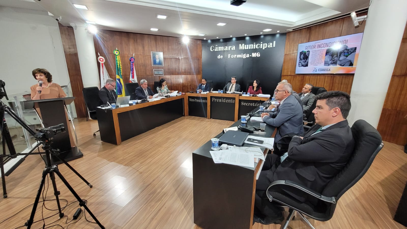 Câmara de Formiga aprova projetos orçamentários, administrativos e concede Comenda Amor Incondicional