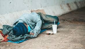 Formiga avança no cuidado social com novo programa de acolhimento