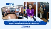 Câmara de Formiga aprova projeto de proteção às abelhas nativas e homenageia servidor público aposentado -  24 de março de 2025