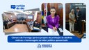 Câmara de Formiga aprova projeto de proteção às abelhas nativas e homenageia servidor público aposentado -  24 de março de 2025